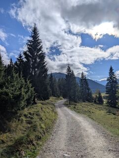 Foto von T Gössing entlang der Tour
