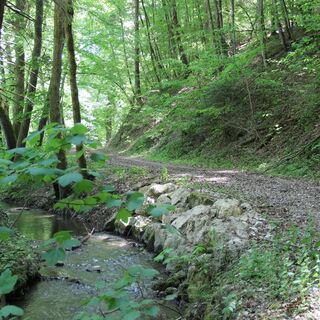 Entlang des Brielbachs