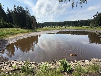 Fotografija s spletne strani Wilson Holz na poti