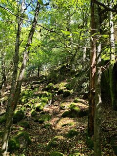 Steiler Anstieg im Klettersteig