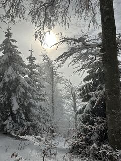 Zdjęcie z Natur_erleben_dg wzdłuż trasy