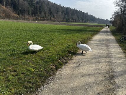 Fotografie z Schnupfe na trase