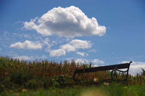 Rast in der herrlichen Natur