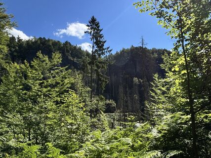 Foto von Erik Schwarz entlang der Tour