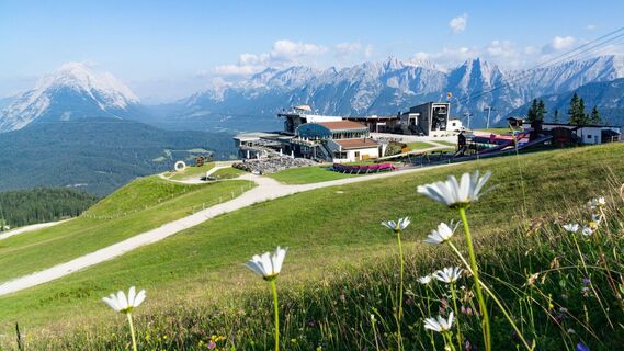 Bergstation Rosshütte mit Blumenwiese