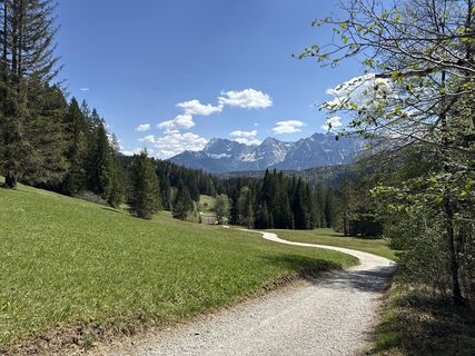 Foto von Similaun entlang der Tour