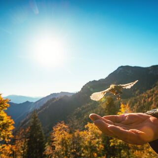 Flug über die Alpen