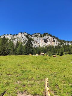 Zdjęcie z ReginaSt wzdłuż trasy