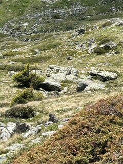Photo de Emiliobigler le long du parcours