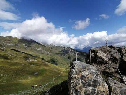 Foto von Turbinio entlang der Tour
