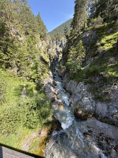 Photo de T Schreiber5 le long du parcours