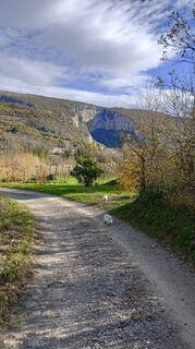 Fotografija s spletne strani Michele Zollia na poti