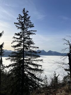 Foto von Vmh entlang der Tour
