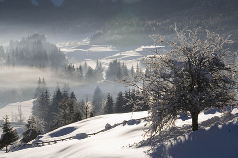 Winterwonderland
