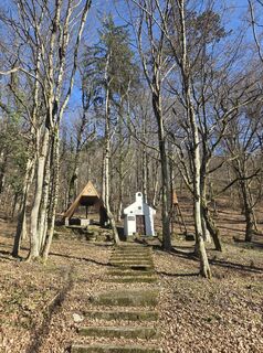 Photo de Darija Forgač le long du parcours