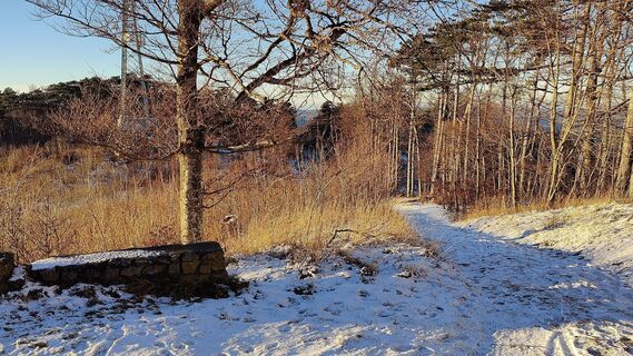 Fotografie z matimo na trase