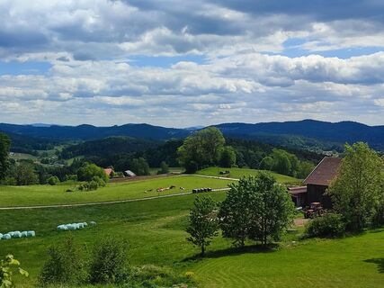 Ausblick oberhalb von Winden ins Dreiburgenland