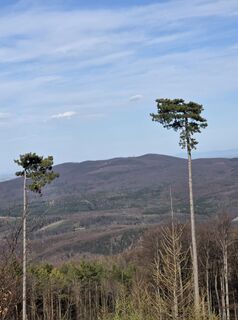 Fotografie z Axel Holtz na trase