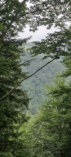 Foto von Heidi L entlang der Tour