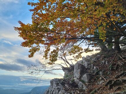 Фото с сайта Christina Fröhlich во время экскурсии