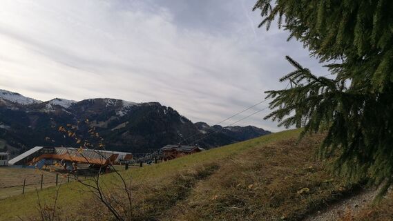 Photo de R. H le long du parcours