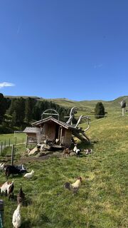 Foto van Robert Ides langs de tour