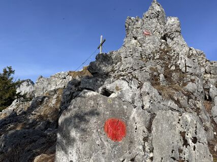 Fotografija s spletne strani Natur_erleben_dg na poti