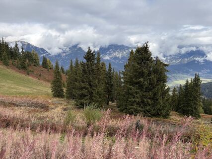 Foto von sinko entlang der Tour