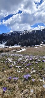 Foto von Albert Knollseisen entlang der Tour