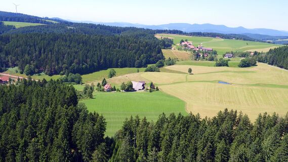Blick auf den Fohrenbühl