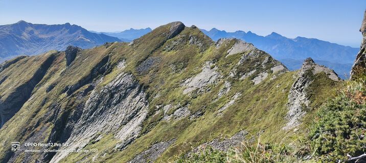 Fotografija s spletne strani Sherpa 960 na poti