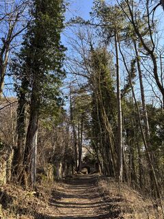 Fotografie z RS76 na trase