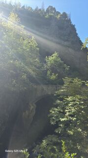 Foto von Martbaer entlang der Tour