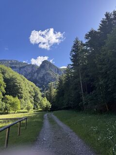 Foto von M.Schiester entlang der Tour