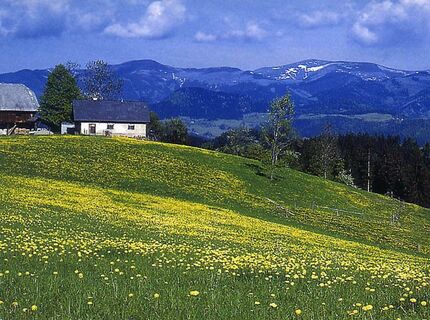 Dieses Hügelland liegt zwischen dem Liebochtal und Murtal.
