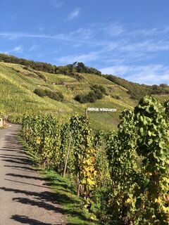 Photo de Ruud Oligschlager le long du parcours