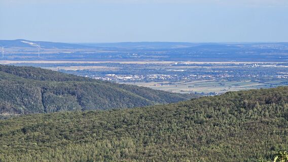 Fotografija s spletne strani Revilo Krammer na poti