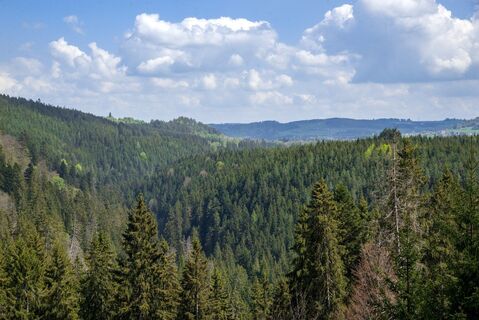 Viadukt und Schluchtentour
