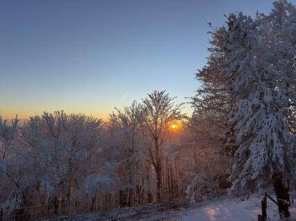 Foto de Raphael Häfliger 1 a lo largo del recorrido