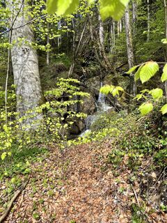Foto von Stefanie Göppel entlang der Tour