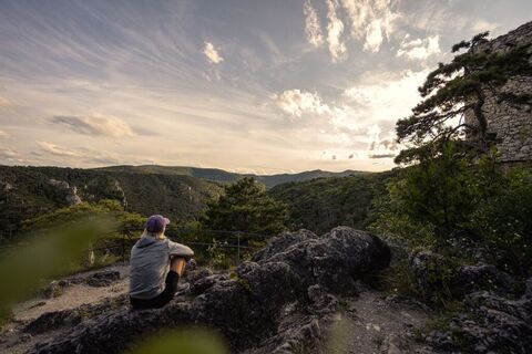 Wandern im Wienerwald