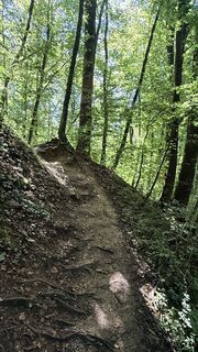 Foto von Versandkunth entlang der Tour