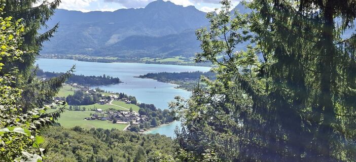Foto von M Dicketmueller entlang der Tour