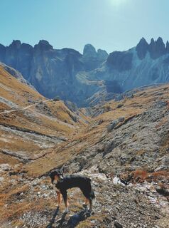 Fotografija s spletne strani Nadja Steiner 1 na poti