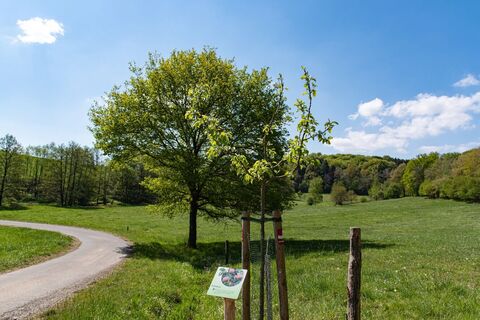 Infotafel am Streuobstweg