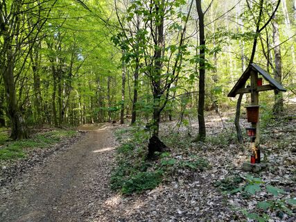 Zdjęcie z Poschacher wzdłuż trasy
