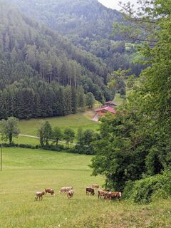 Foto von Andrea entlang der Tour
