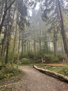 Foto von Wolfgang Krall entlang der Tour