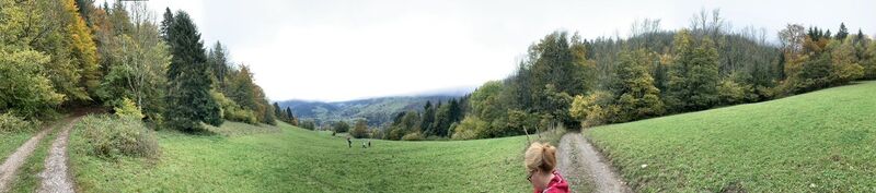 Foto von Koen De Wit entlang der Tour