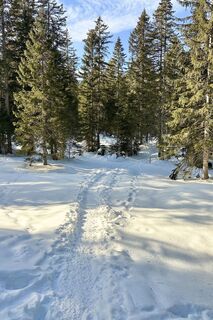 Fotografija s spletne strani likedhikes na poti